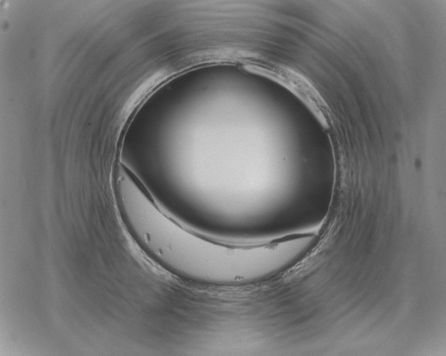 X0000077340946200611171829