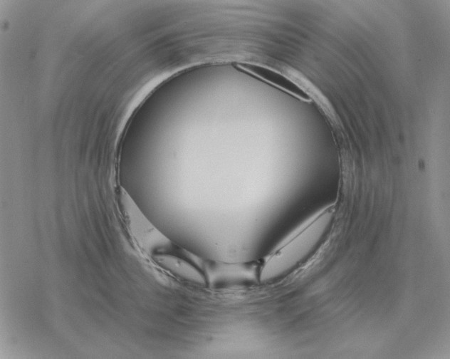 X0000077340956200611171829