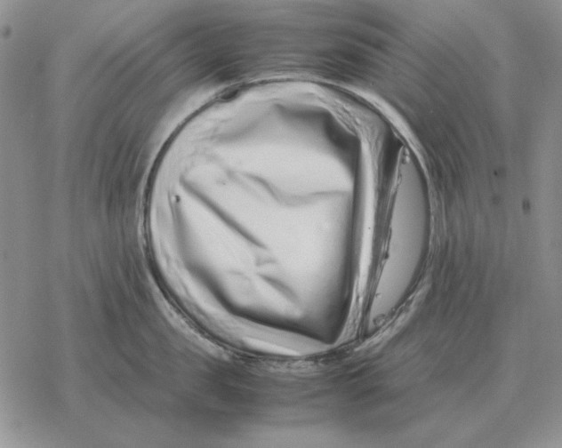 X0000077340957200611171829