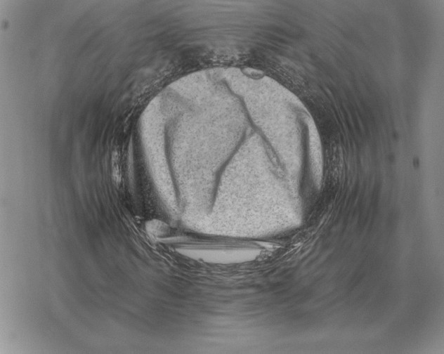 X0000077340962200611171828