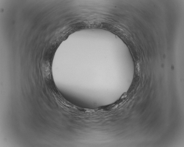 X0000077340963200611171828