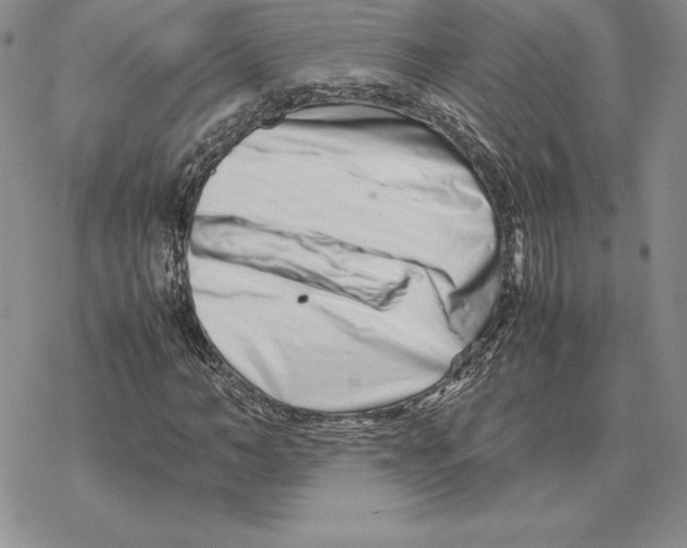 X0000077340966200611171828