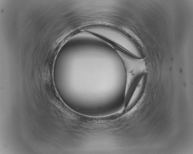 X0000077340969200611171828