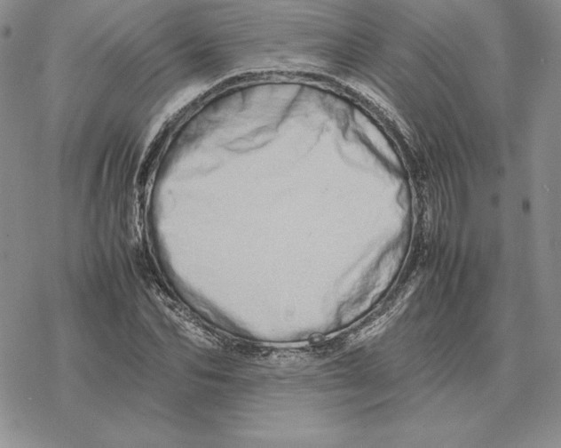 X0000077340974200611171828