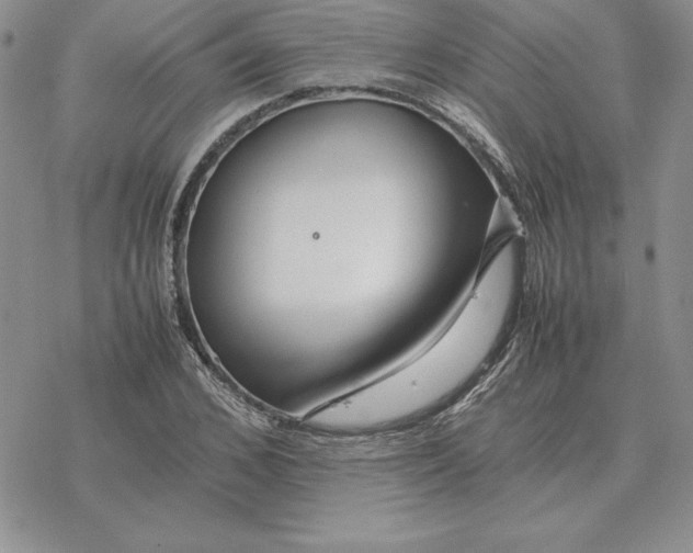 X0000077340976200611171828