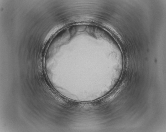 X0000077340978200611171828