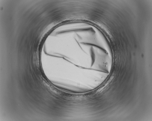 X0000077340982200611171828