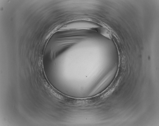 X0000077340985200611171828
