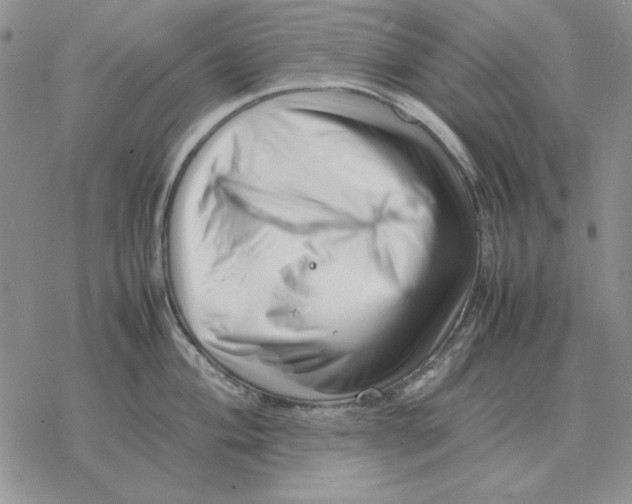 X0000077341004200611171828