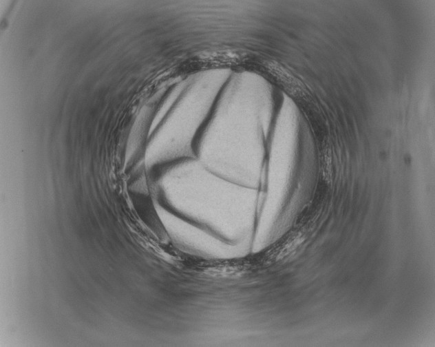 X0000077341010200611171827
