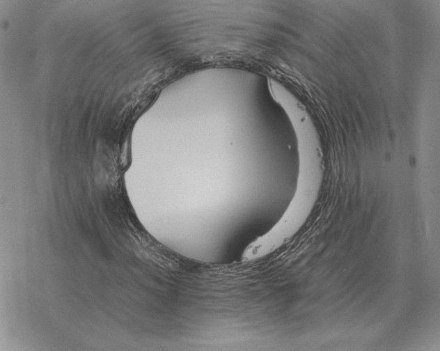 X0000077341012200611171827