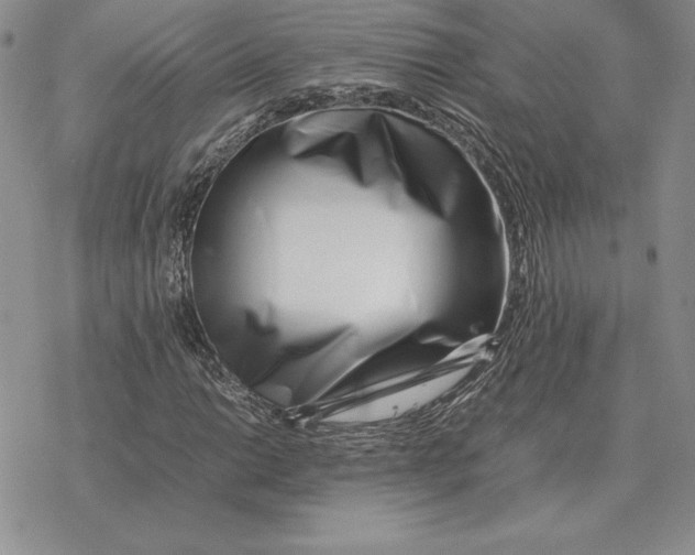 X0000077341014200611171827