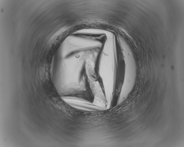 X0000077341016200611171827