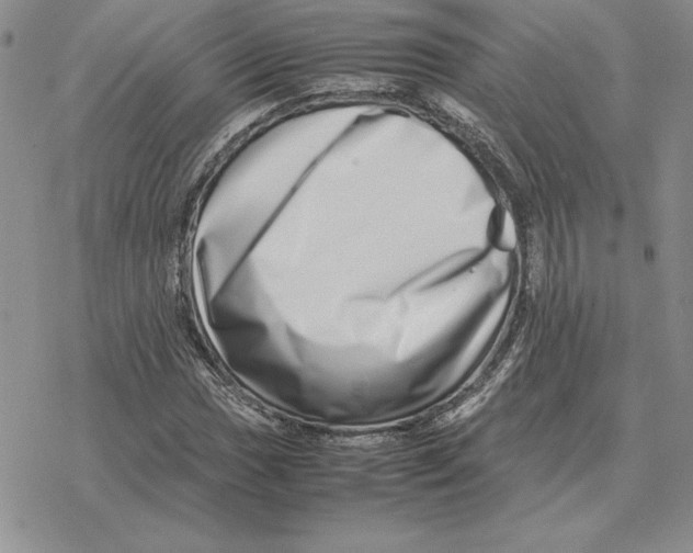 X0000077341017200611171827