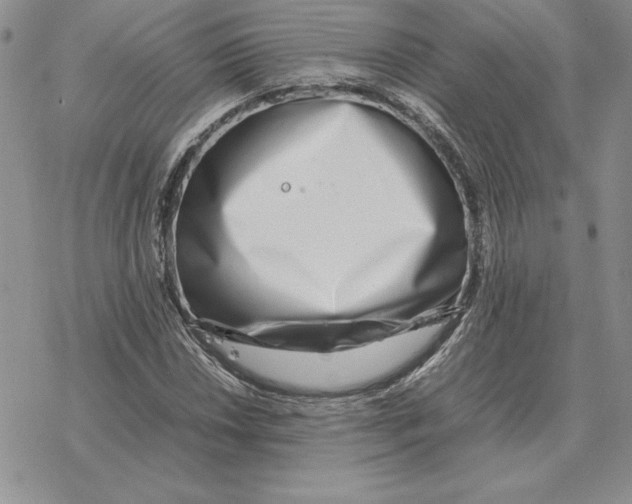 X0000077341018200611171827