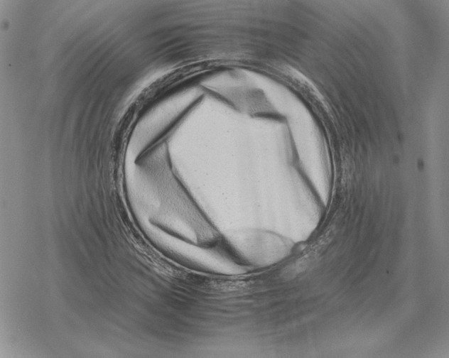 X0000077341019200611171827