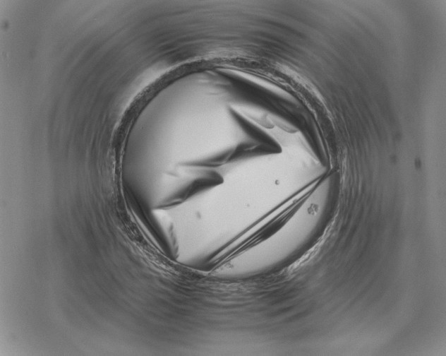 X0000077341021200611171827