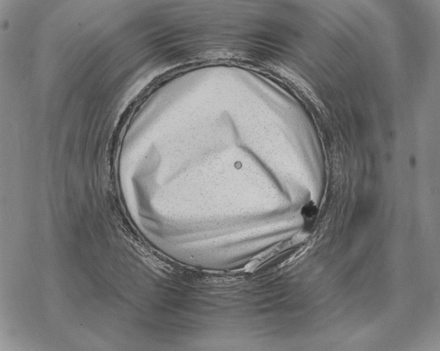 X0000077341023200611171827