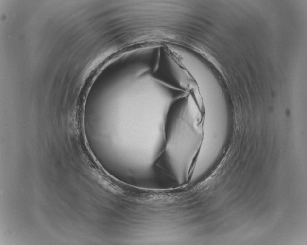 X0000077341026200611171827