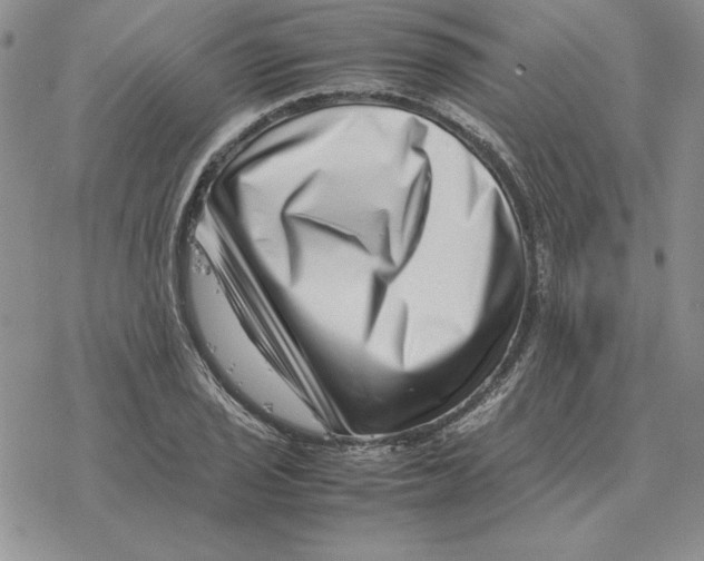 X0000077341029200611171827