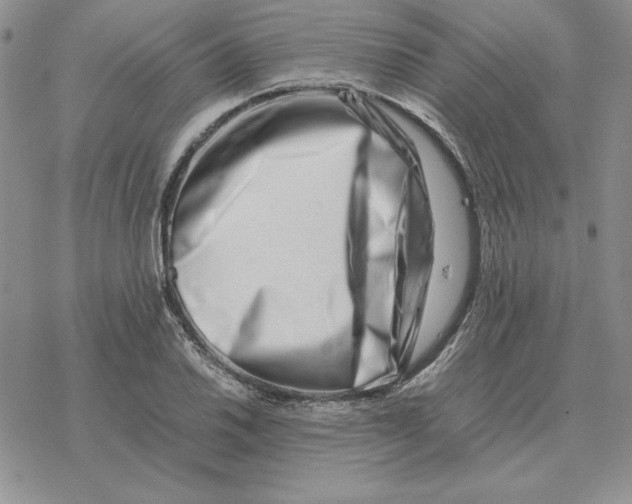 X0000077341030200611171827
