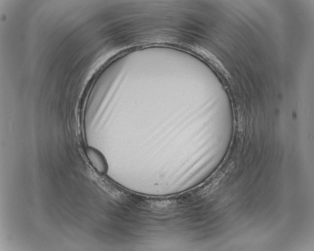 X0000077341031200611171827
