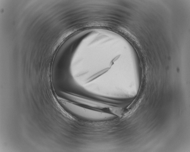 X0000077341033200611171827