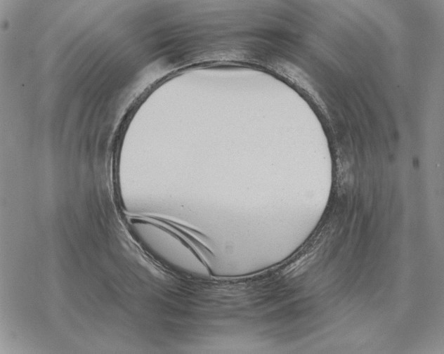 X0000077341035200611171827
