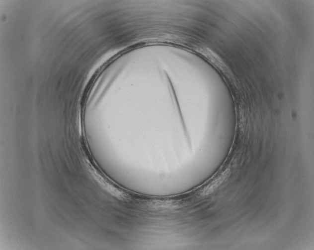 X0000077341036200611171827