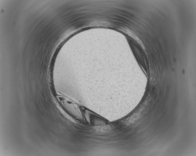 X0000077341037200611171827