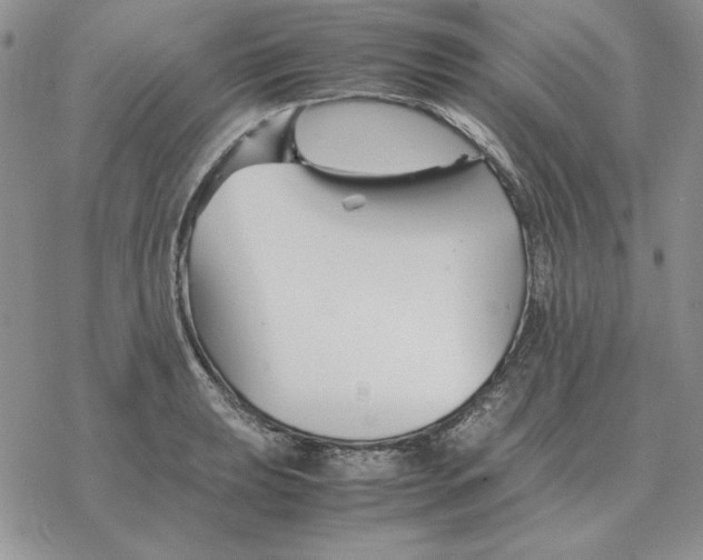 X0000077341039200611171827