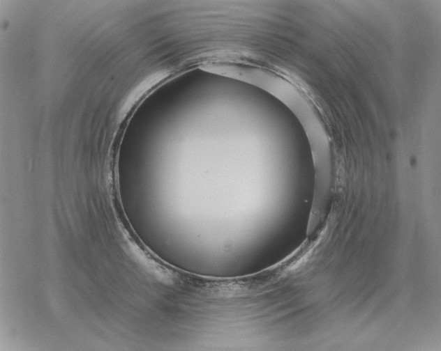 X0000077341042200611171827