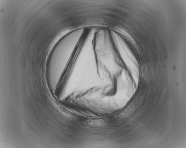 X0000077341043200611171827