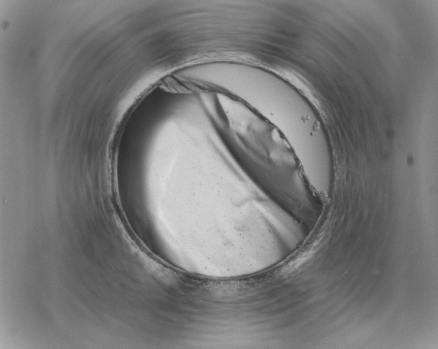 X0000077341046200611171827