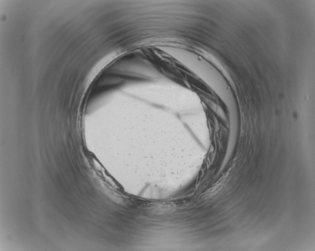 X0000077341050200611171828