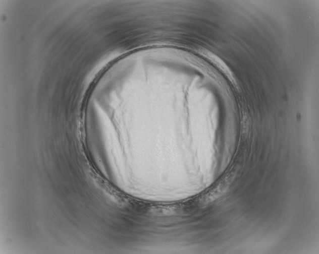 X0000077341051200611171828