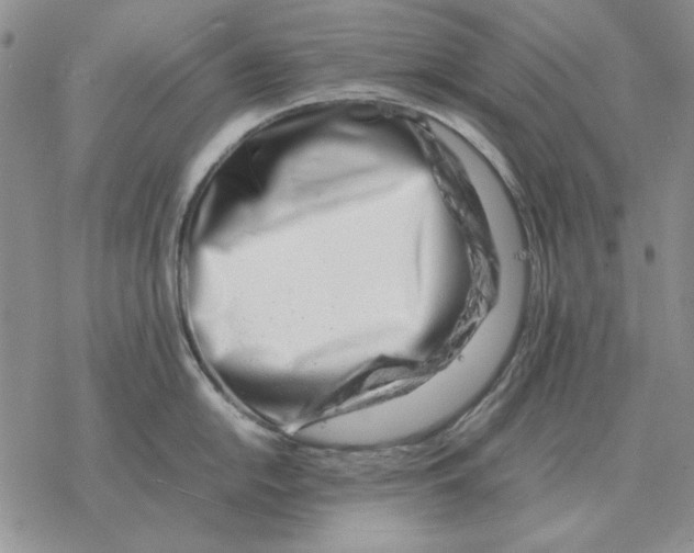 X0000077341054200611171828