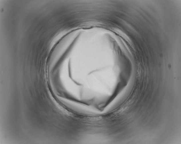 X0000077341055200611171828
