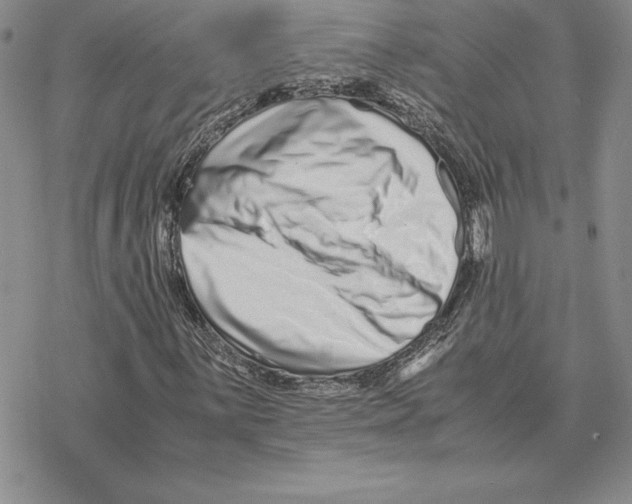 X0000077341059200611171827