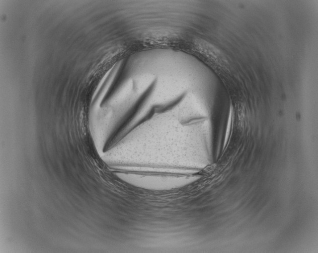 X0000077341060200611171827