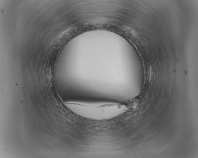 X0000077341062200611171827
