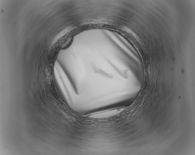 X0000077341064200611171827