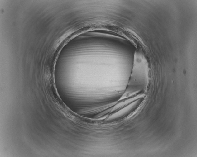 X0000077341065200611171827
