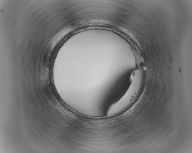 X0000077341066200611171827