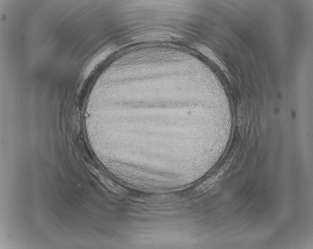 X0000077341067200611171827
