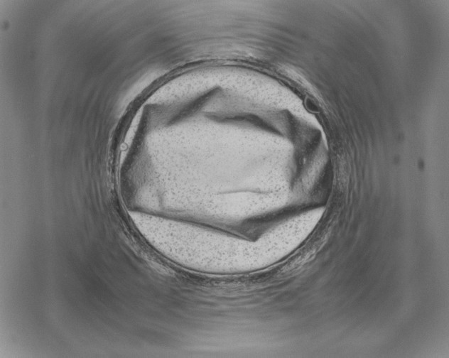 X0000077341071200611171827