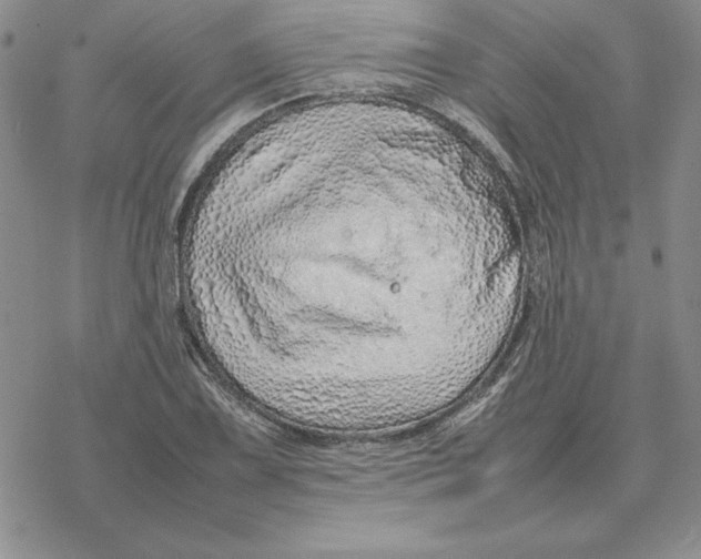 X0000077341075200611171827