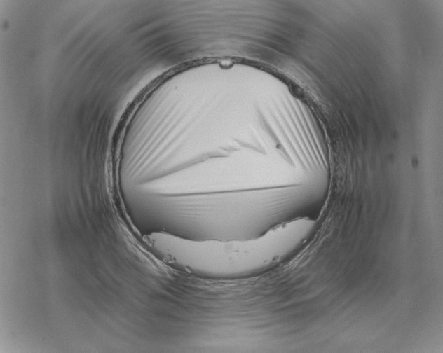 X0000077341076200611171827