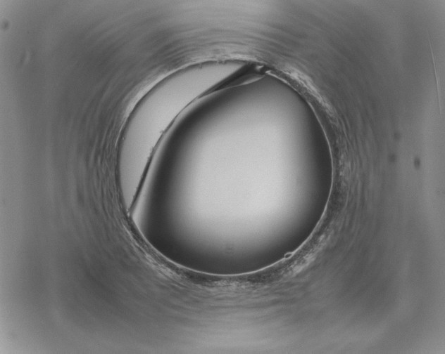 X0000077341081200611171826