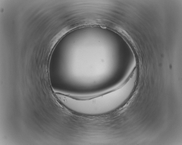 X0000077341089200611171826